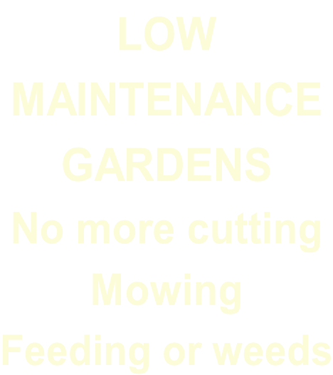LOW  MAINTENANCE GARDENS No more cutting Mowing  Feeding or weeds